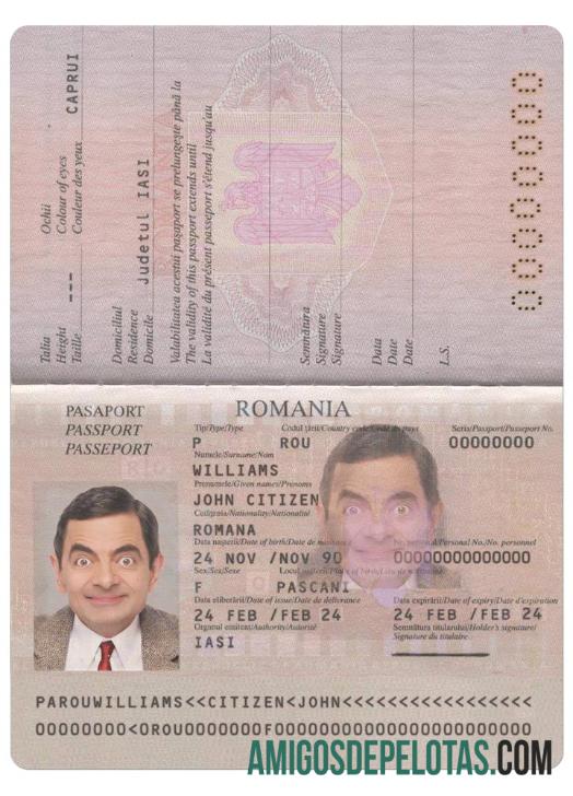 Romênia Pass 2013 Presente exemplo